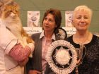 Best In Show winner with his owner Sharon Saville (centre) and Show Manager Ronnie Brooks.