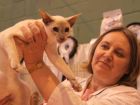 Judge Val Anderson with Best In Show Siamese